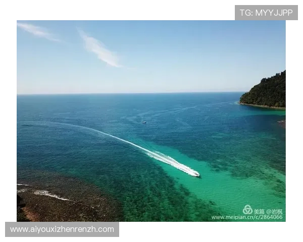 沙巴真人技术保障：确保游戏公平公正让每一位玩家都能安心尽情娱乐