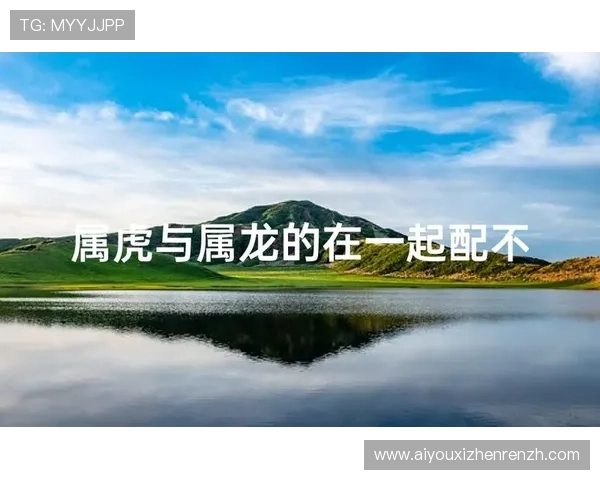 属龙属虎的性格兼容性：分析两者在家庭、职场中的相处之道与注意事项